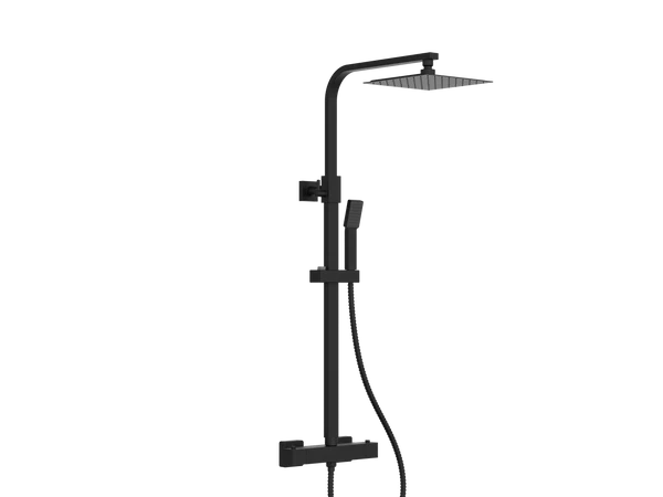 LOUGHTON SQUARE DUAL SHOWER